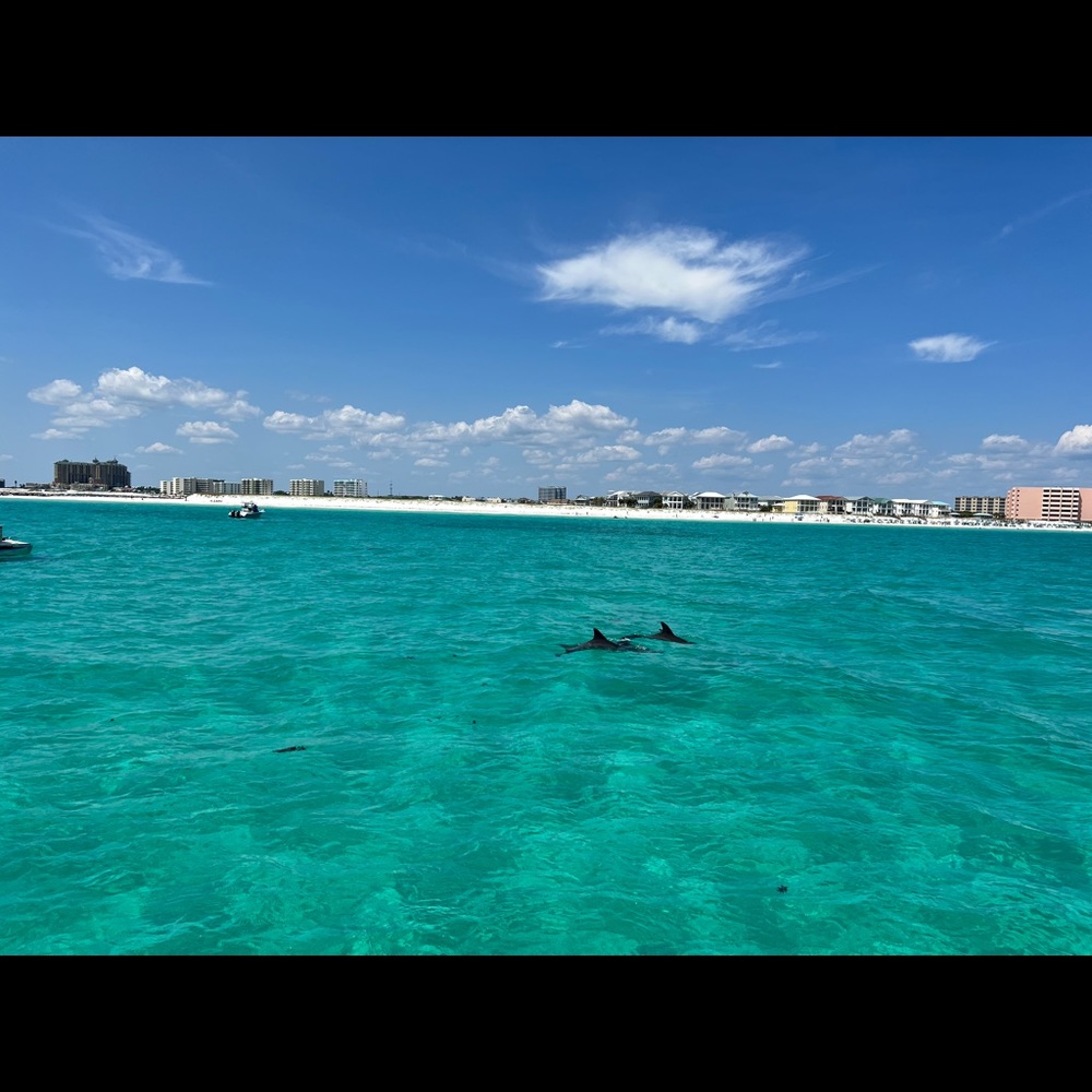 Meet your Posher, Johnathan